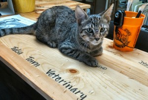 CC hard at work